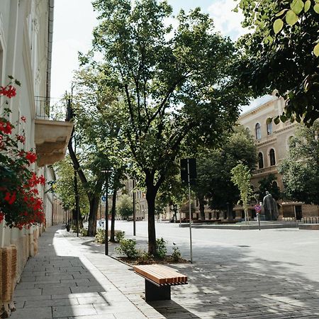 Contessa Apartment Cluj Napoca Екстериор снимка