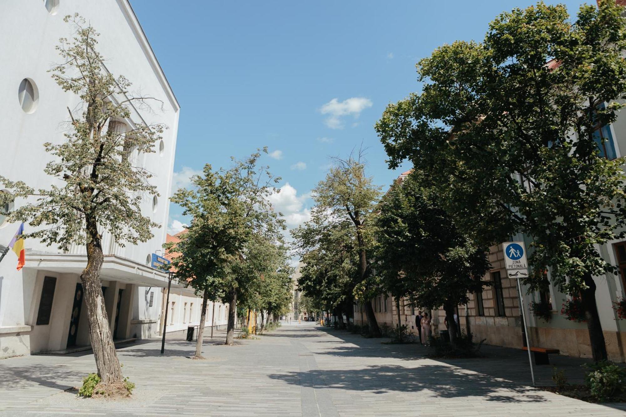 Contessa Apartment Cluj Napoca Екстериор снимка