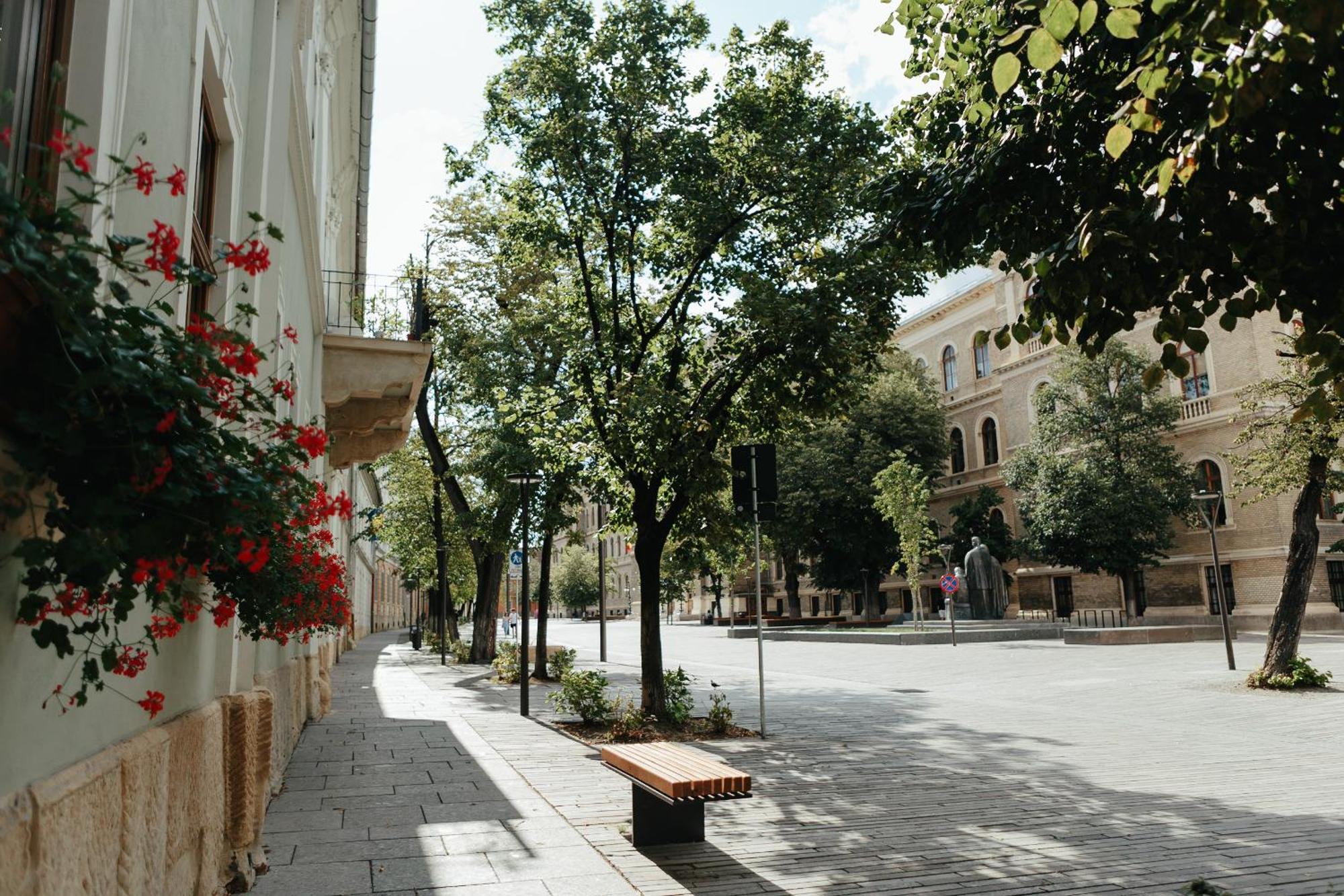 Contessa Apartment Cluj Napoca Екстериор снимка